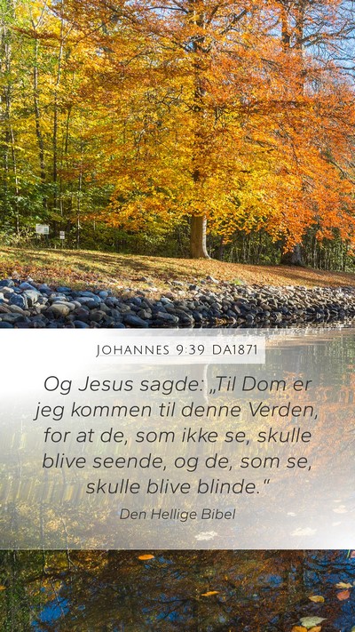 Johannes 9:39 DA1871 Bible Verse Image