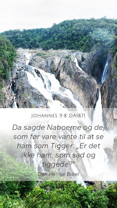 Johannes 9:8 DA1871 Bible Verse Image