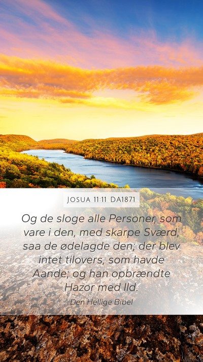 Josua 11:11 DA1871 Bible Verse Image