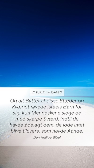 Josua 11:14 DA1871 Bible Verse Image