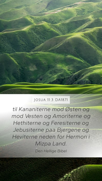 Josua 11:3 DA1871 Bible Verse Image