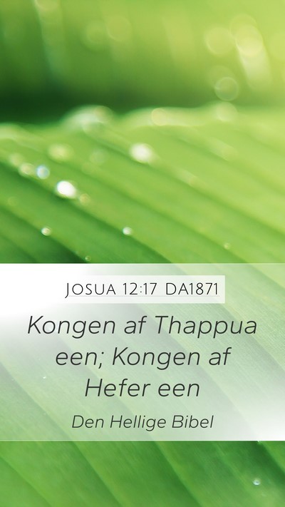 Josua 12:17 DA1871 Bible Verse Image
