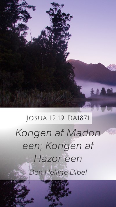 Josua 12:19 DA1871 Bible Verse Image