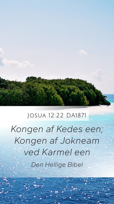 Josua 12:22 DA1871 Bible Verse Image