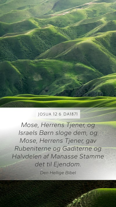 Josua 12:6 DA1871 Bible Verse Image