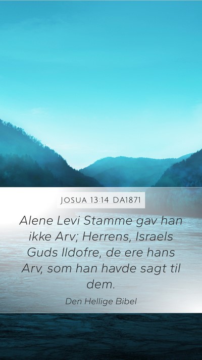 Josua 13:14 DA1871 Bible Verse Image