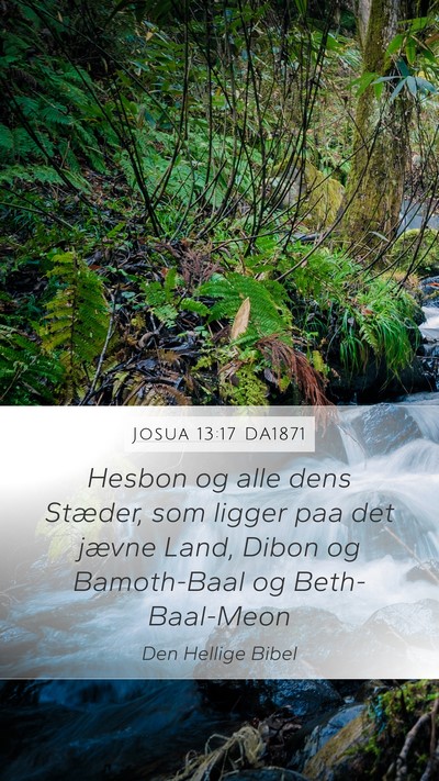Josua 13:17 DA1871 Bible Verse Image