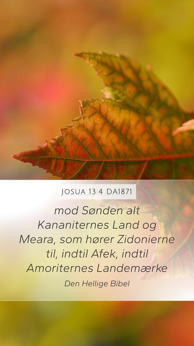 Josua 13:4 DA1871 Mobile Phone Wallpaper - mod Sønden alt Kananiternes Land og Meara, som - Mobile Bible Verse Wallpaper