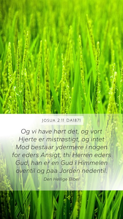 Josua 2:11 DA1871 Bible Verse Image