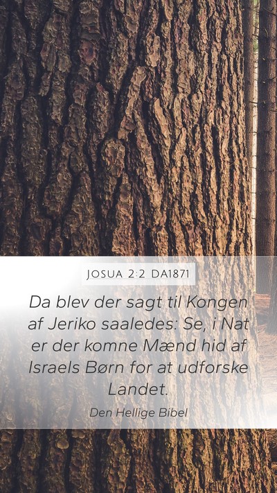 Josua 2:2 DA1871 Mobile Phone Wallpaper - Da blev der sagt til Kongen af Jeriko saaledes: - Mobile Bible Verse Wallpaper