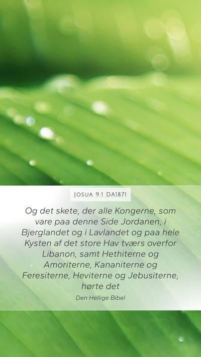 Josua 9:1 DA1871 Bible Verse Image