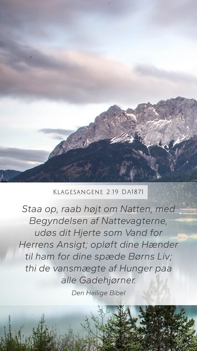 Klagesangene 2:19 DA1871 Bible Verse Image