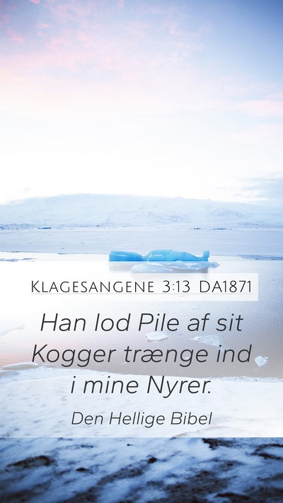 Klagesangene 3:13 DA1871 Bible Verse Image