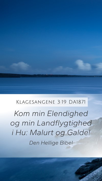 Klagesangene 3:19 DA1871 Bible Verse Image
