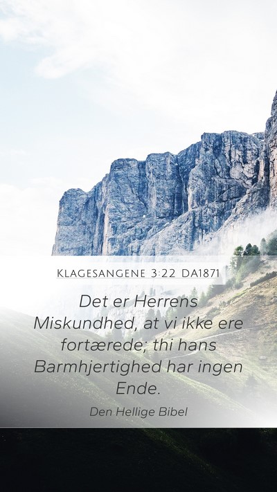 Klagesangene 3:22 DA1871 Bible Verse Image