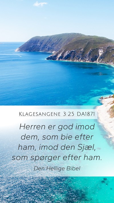 Klagesangene 3:25 DA1871 Bible Verse Image