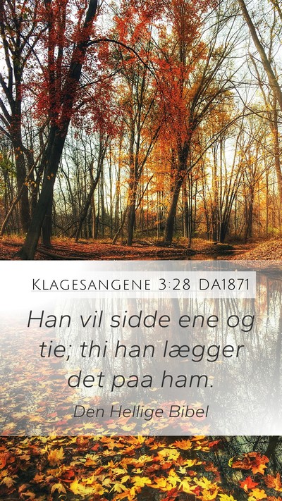 Klagesangene 3:28 DA1871 Bible Verse Image