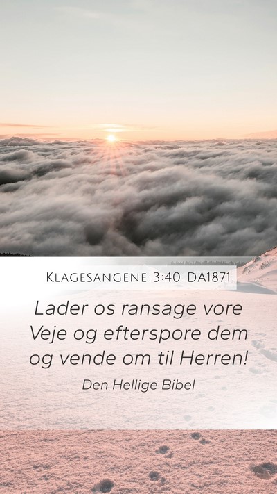 Klagesangene 3:40 DA1871 Bible Verse Image