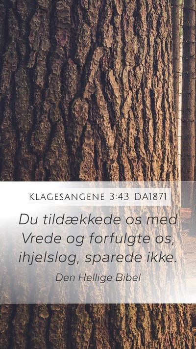 Klagesangene 3:43 DA1871 Bible Verse Image