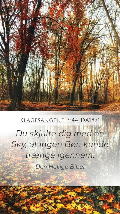 Klagesangene 3:44 DA1871 Bible Verse Image