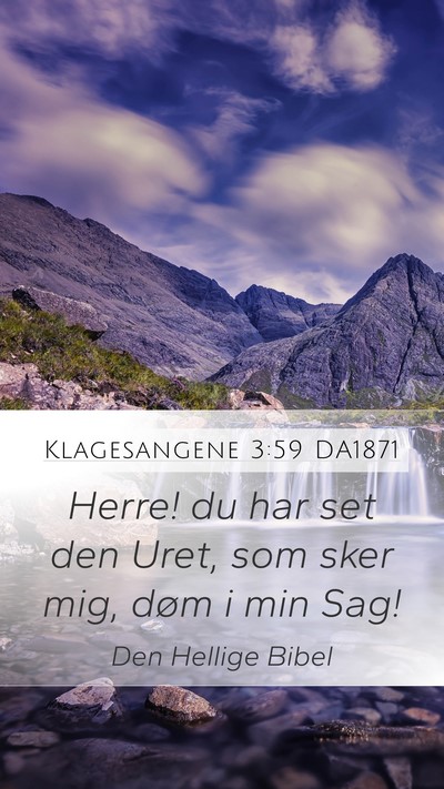 Klagesangene 3:59 DA1871 Bible Verse Image