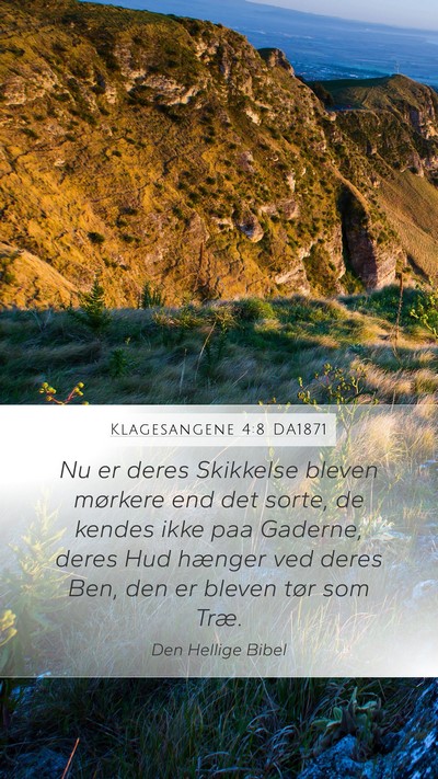 Klagesangene 4:8 DA1871 Bible Verse Image
