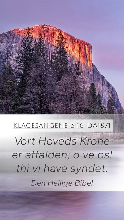 Klagesangene 5:16 DA1871 Bible Verse Image