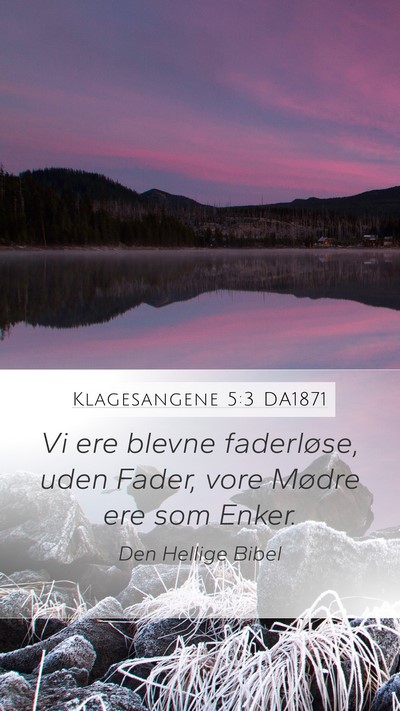 Klagesangene 5:3 DA1871 Bible Verse Image