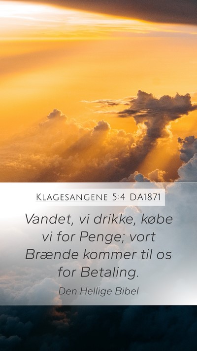 Klagesangene 5:4 DA1871 Bible Verse Image