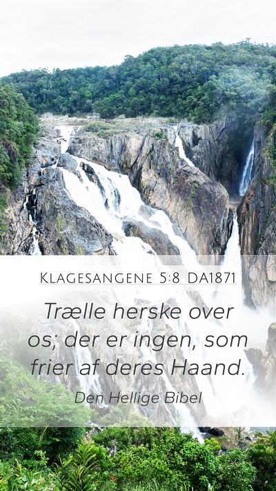 Klagesangene 5:8 DA1871 Bible Verse Image