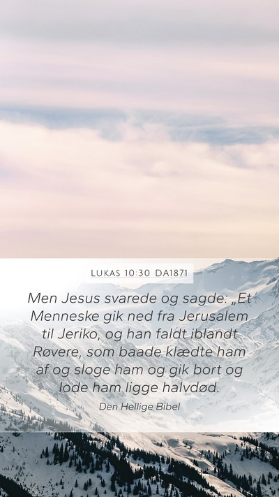Lukas 10:30 DA1871 Bible Verse Image