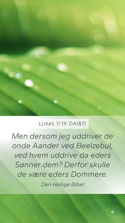 Lukas 11:19 DA1871 Bible Verse Image