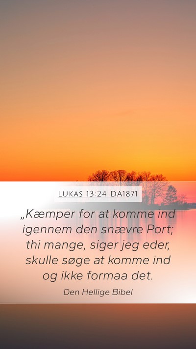 Lukas 13:24 DA1871 Bible Verse Image