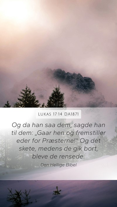 Lukas 17:14 DA1871 Bible Verse Image