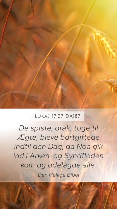Lukas 17:27 DA1871 Bible Verse Image