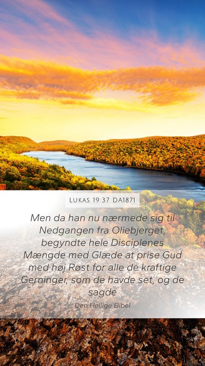 Lukas 19:37 DA1871 Bible Verse Image