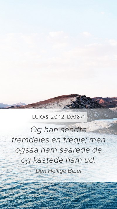 Lukas 20:12 DA1871 Bible Verse Image