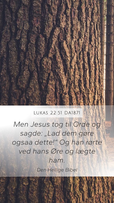 Lukas 22:51 DA1871 Mobile Phone Wallpaper - Men Jesus tog til Orde og sagde: „Lad dem gøre - Mobile Bible Verse Wallpaper