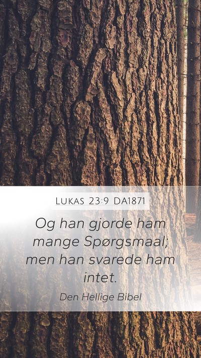 Lukas 23:9 DA1871 Bible Verse Image