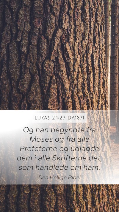Lukas 24:27 DA1871 Bible Verse Image