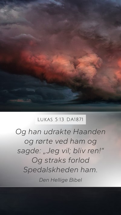 Lukas 5:13 DA1871 Bible Verse Image
