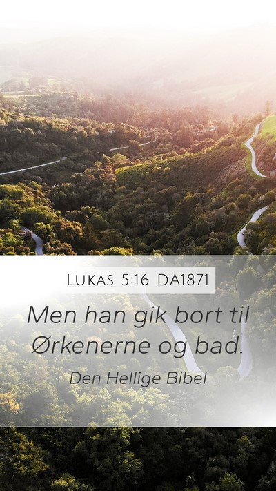 Lukas 5:16 DA1871 Mobile Phone Wallpaper - Men han gik bort til Ørkenerne og - Mobile Bible Verse Wallpaper