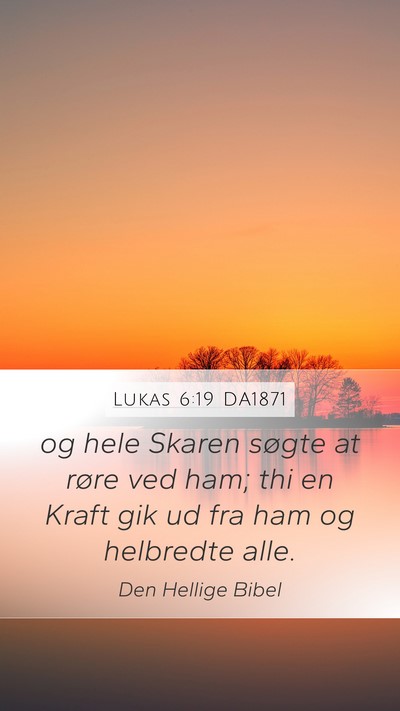 Lukas 6:19 DA1871 Bible Verse Image