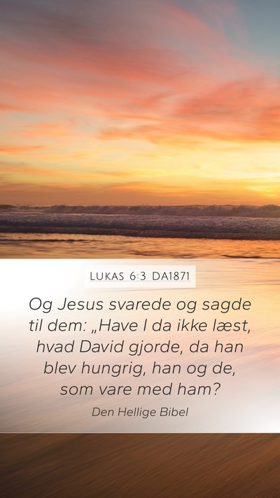 Lukas 6:3 DA1871 Mobile Phone Wallpaper - Og Jesus svarede og sagde til dem: „Have I da - Mobile Bible Verse Wallpaper
