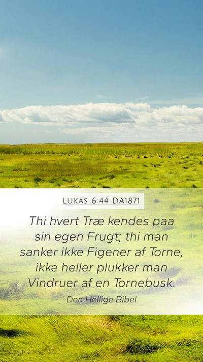 Lukas 6:44 DA1871 Bible Verse Image