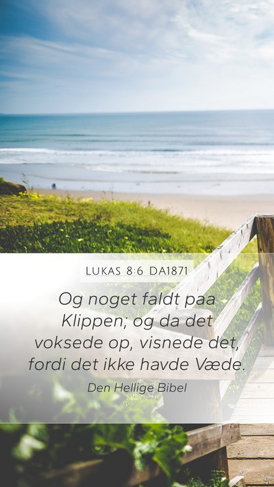 Lukas 8:6 DA1871 Mobile Phone Wallpaper - Og noget faldt paa Klippen; og da det voksede op, - Mobile Bible Verse Wallpaper