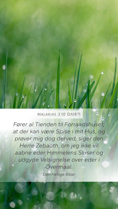 Malakias 3:10 DA1871 Bible Verse Image
