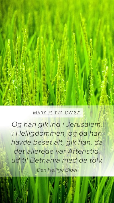 Markus 11:11 DA1871 Bible Verse Image