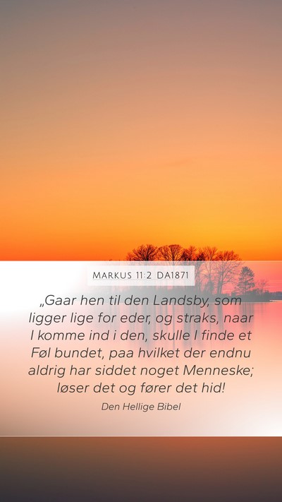 Markus 11:2 DA1871 Bible Verse Image