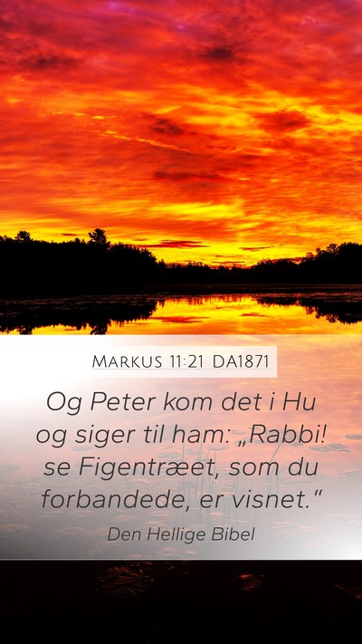 Markus 11:21 DA1871 Mobile Phone Wallpaper - Og Peter kom det i Hu og siger til ham: „Rabbi! - Mobile Bible Verse Wallpaper
